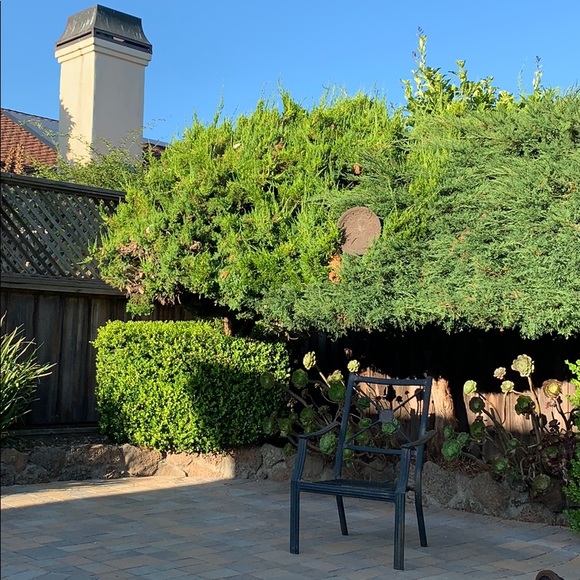 Meet your Posher, Rudith monroy - Picture 1 of 1